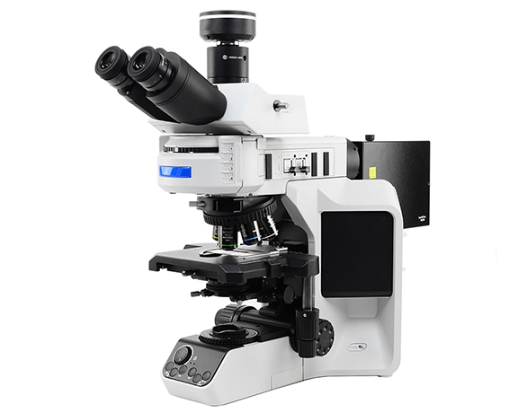 合肥MT53Y研究级荧光显微镜