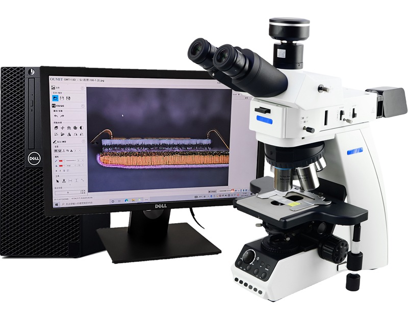 LV100BD研究级金相显微镜